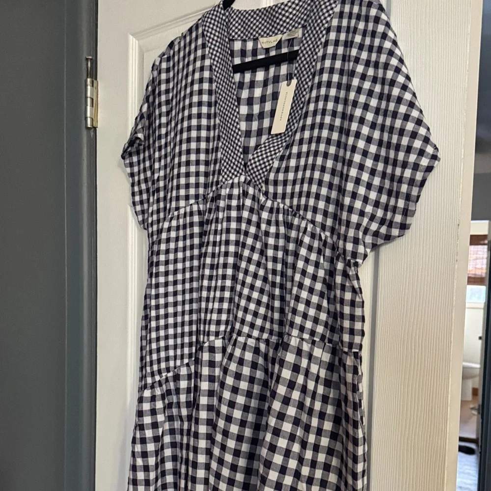 Anthropologie Navy and White Gingham Dress - Picture 5 of 7
